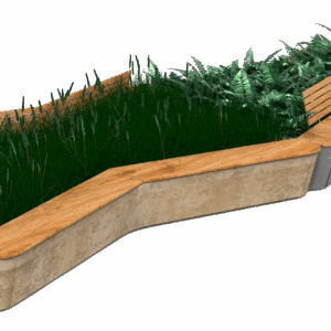 Папоротник