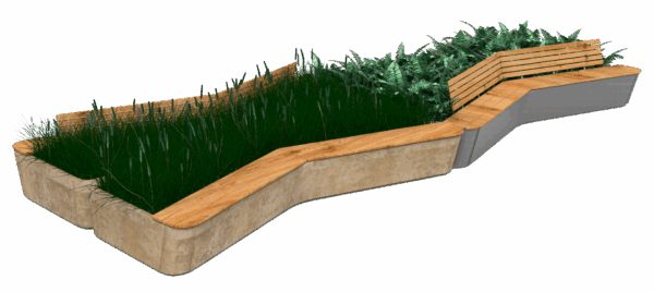 Папоротник